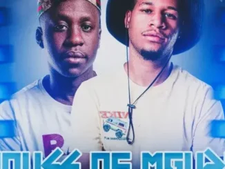 uLazi & Mender_ZA – House Of Mguzu