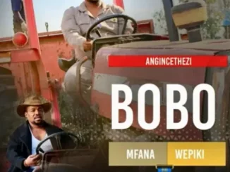 BOBO Mfana Wepiki – Angincethezi