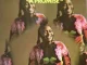 Miriam Makeba – A Promise