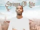 Toolz Umazelaphi – Strings of Life