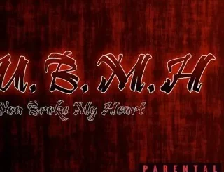 Touchline – You Broke My Heart